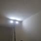 Poză de profil